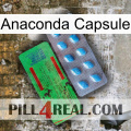 Anaconda Capsule new03